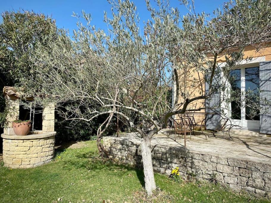 Belle Maison Provencale Au Pied Du Mont Ventoux Caromb Luaran gambar