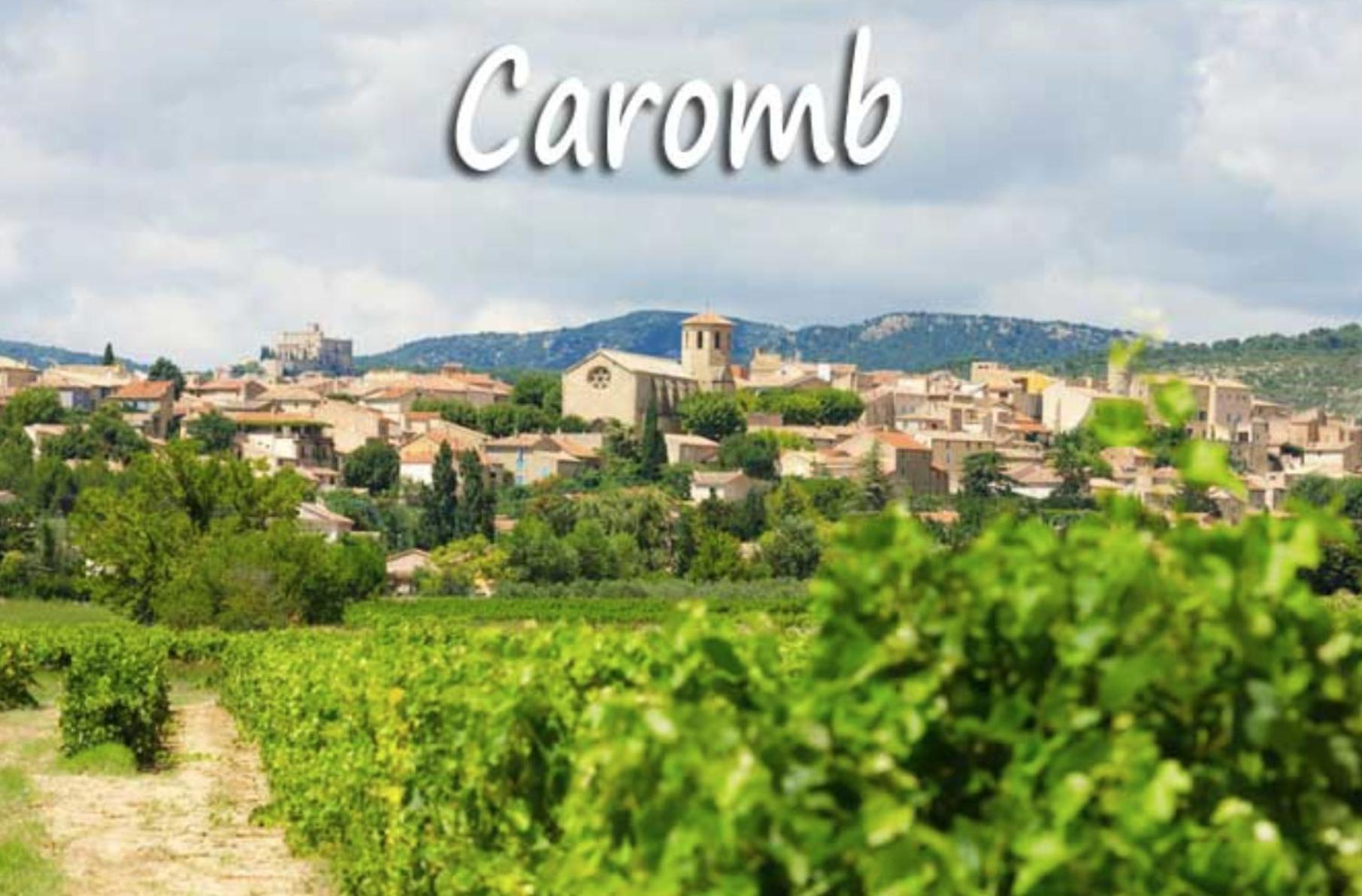 Belle Maison Provencale Au Pied Du Mont Ventoux Caromb Luaran gambar